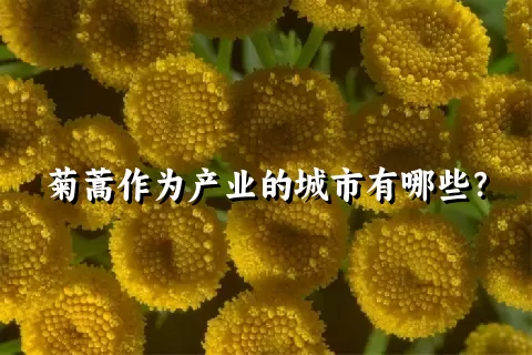 菊蒿作为产业的城市有哪些？