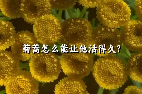 菊蒿怎么能让他活得久？