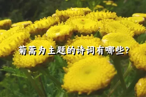 菊蒿为主题的诗词有哪些？