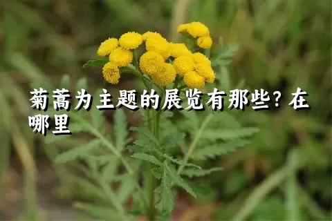 菊蒿为主题的展览有那些？在哪里