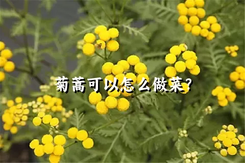 菊蒿可以怎么做菜？