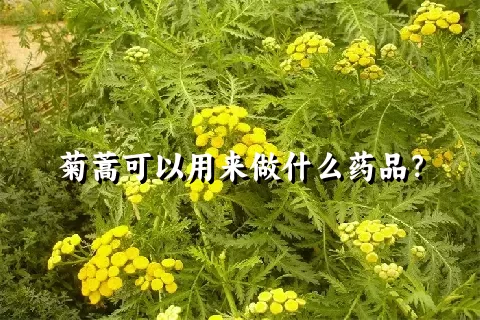 菊蒿可以用来做什么药品？