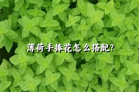 薄荷手捧花怎么搭配？