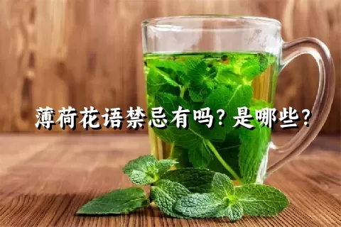 薄荷花语禁忌有吗？是哪些？