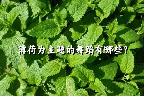 薄荷为主题的舞蹈有哪些？