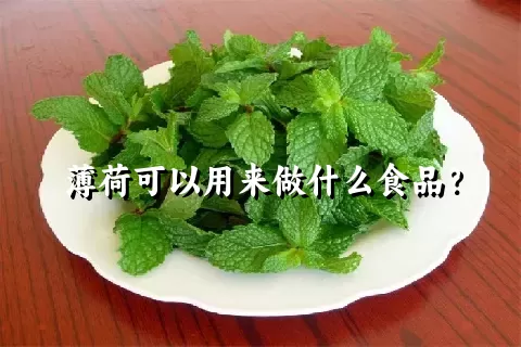 薄荷可以用来做什么食品？