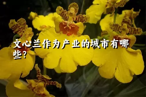 文心兰作为产业的城市有哪些？