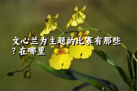 文心兰为主题的比赛有那些？在哪里