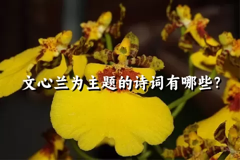 文心兰为主题的诗词有哪些？