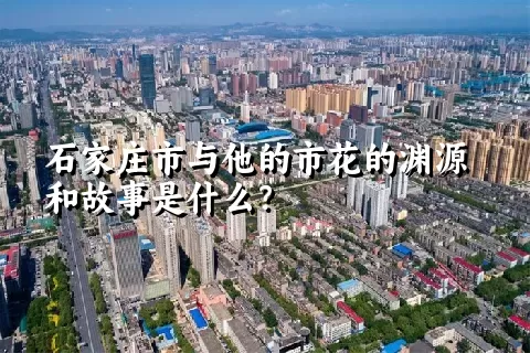 石家庄市与他的市花的渊源和故事是什么？