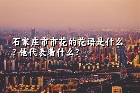 石家庄市市花的花语是什么？他代表着什么？