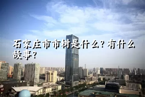 石家庄市市树是什么？有什么故事？