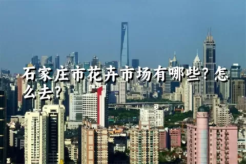 石家庄市花卉市场有哪些？怎么去？