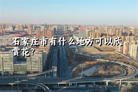 石家庄市有什么地方可以欣赏花？