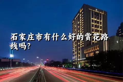 石家庄市有什么好的赏花路线吗？