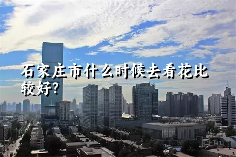 石家庄市什么时候去看花比较好？