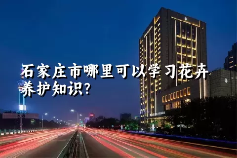 石家庄市哪里可以学习花卉养护知识？