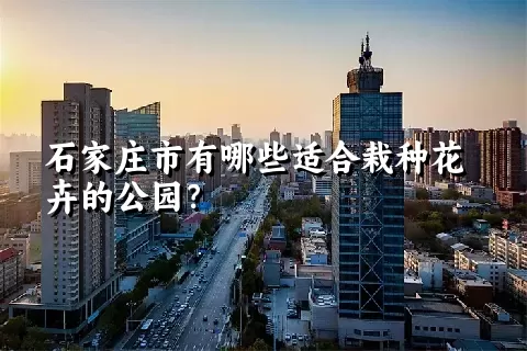 石家庄市有哪些适合栽种花卉的公园？