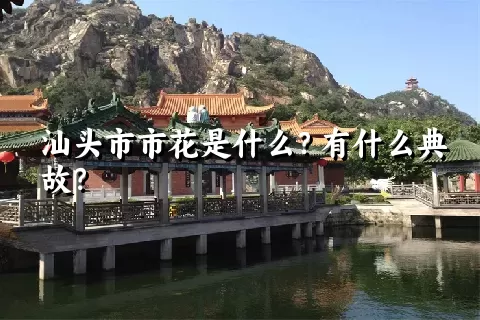 汕头市市花是什么？有什么典故？