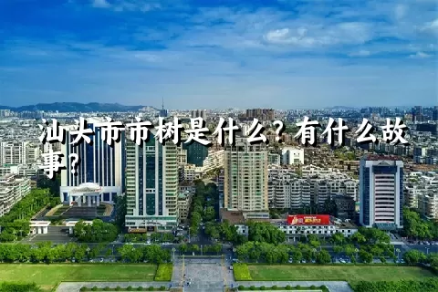 汕头市市树是什么？有什么故事？