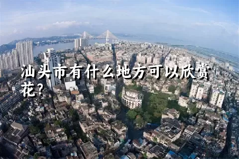 汕头市有什么地方可以欣赏花？