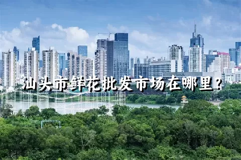 汕头市鲜花批发市场在哪里？