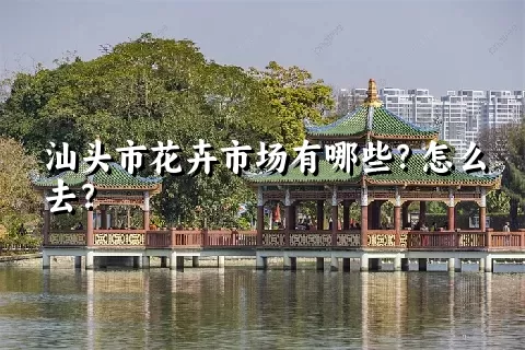 汕头市花卉市场有哪些？怎么去？