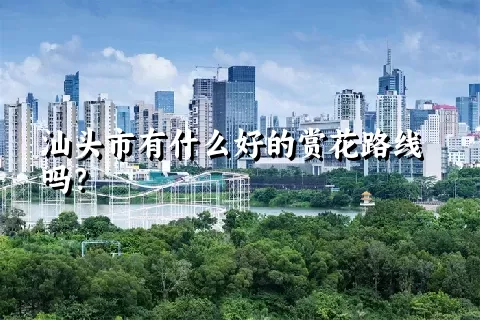 汕头市有什么好的赏花路线吗？