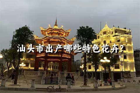 汕头市出产哪些特色花卉？