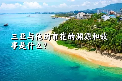 三亚与他的市花的渊源和故事是什么？