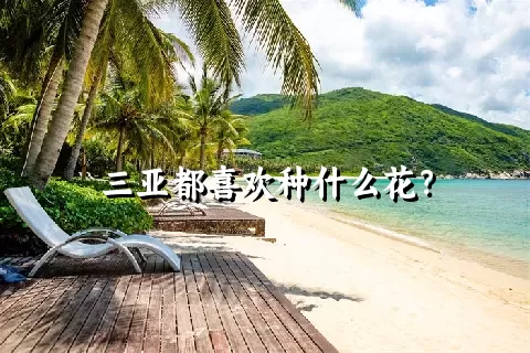 三亚都喜欢种什么花？