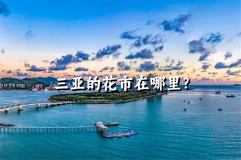 三亚的花市在哪里？