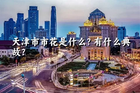 天津市市花是什么？有什么典故？