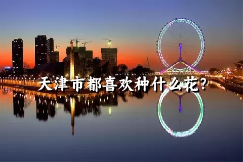 天津市都喜欢种什么花？