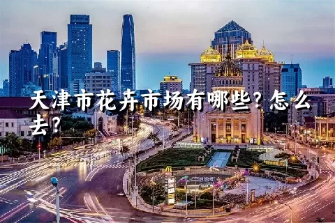 天津市花卉市场有哪些？怎么去？