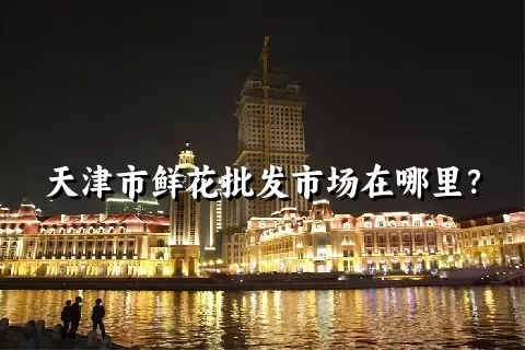 天津市鲜花批发市场在哪里？