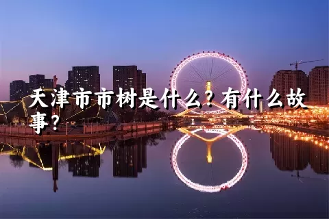 天津市市树是什么？有什么故事？