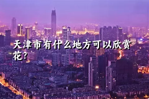 天津市有什么地方可以欣赏花？