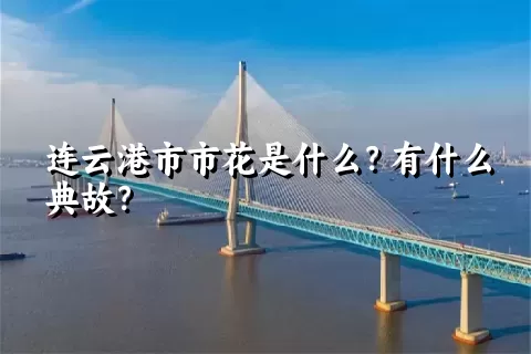 连云港市市花是什么？有什么典故？