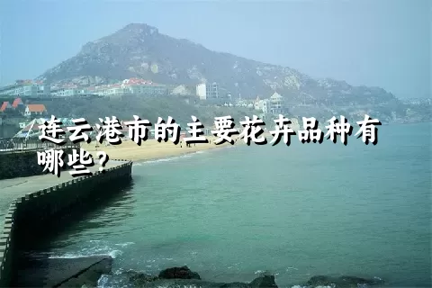 连云港市的主要花卉品种有哪些？