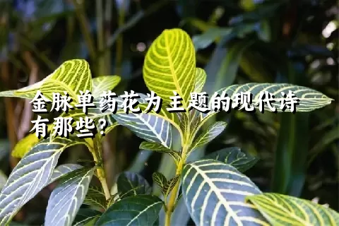 金脉单药花为主题的现代诗有那些？