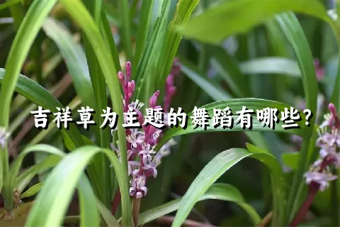 吉祥草为主题的舞蹈有哪些？