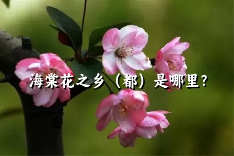 海棠花之乡（都）是哪里？