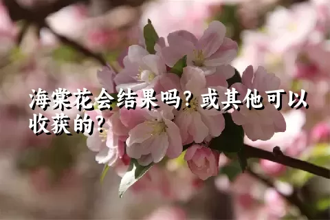 海棠花会结果吗？或其他可以收获的？