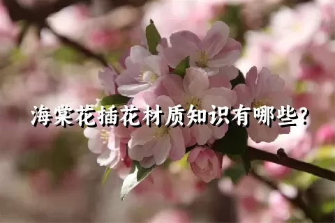 海棠花插花材质知识有哪些？