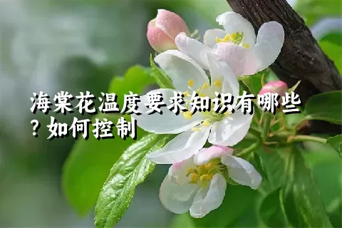 海棠花温度要求知识有哪些？如何控制