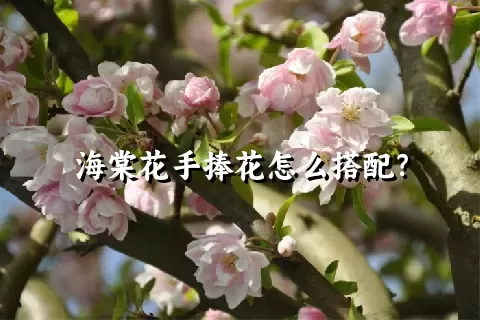 海棠花手捧花怎么搭配？