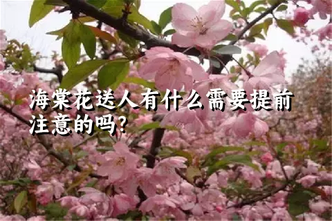 海棠花送人有什么需要提前注意的吗？