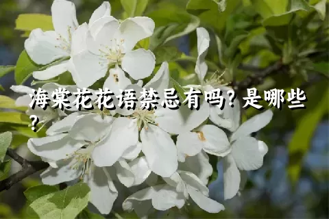 海棠花花语禁忌有吗？是哪些？