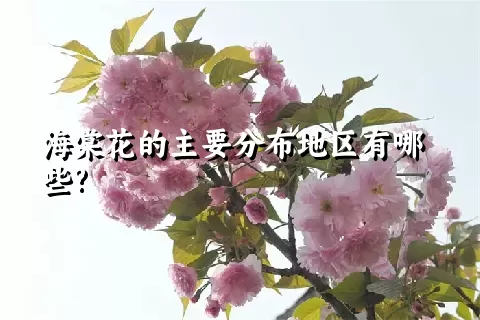 海棠花的主要分布地区有哪些?